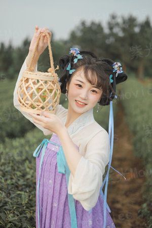 桃运天王孤寂之狼